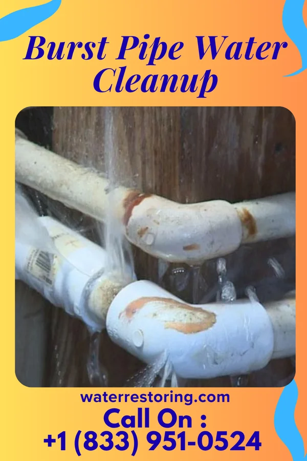 Burst Pipe Water Cleanup in Burke, TX
