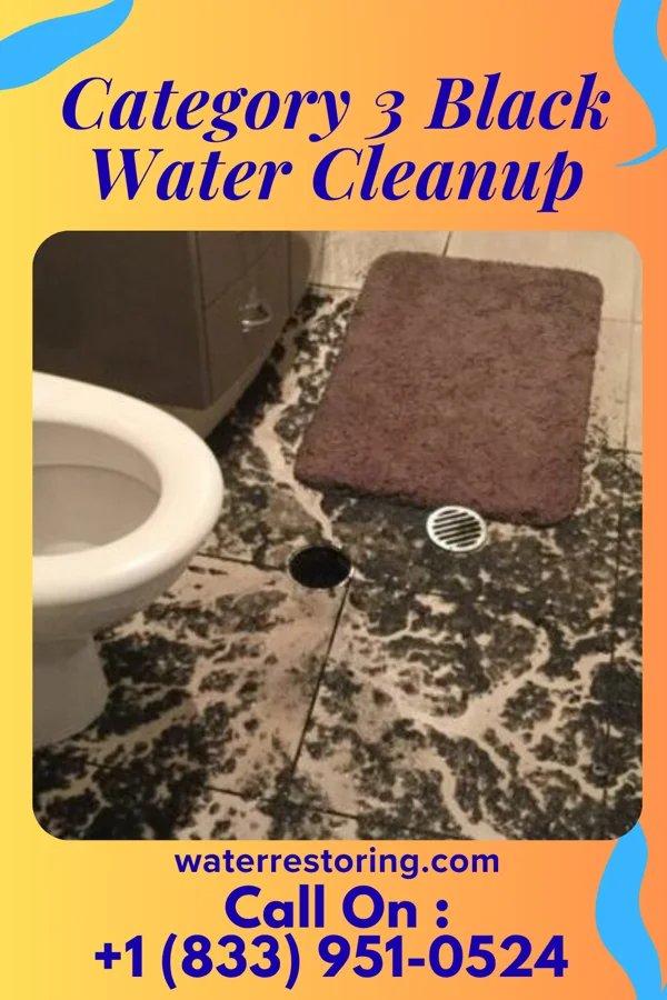 Category 3 Black Water Cleanup in Burke, TX