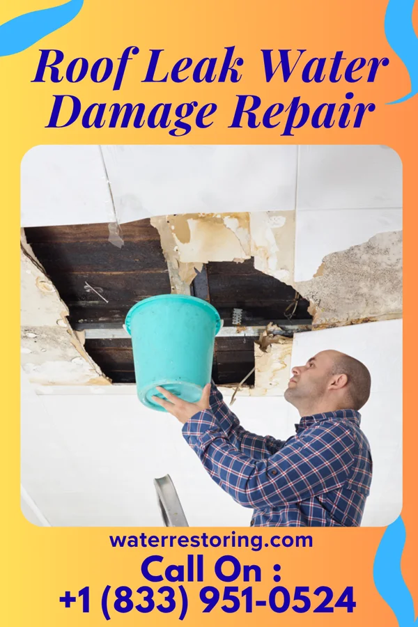 Roof Leak Water Damage Repair in Burke, TX